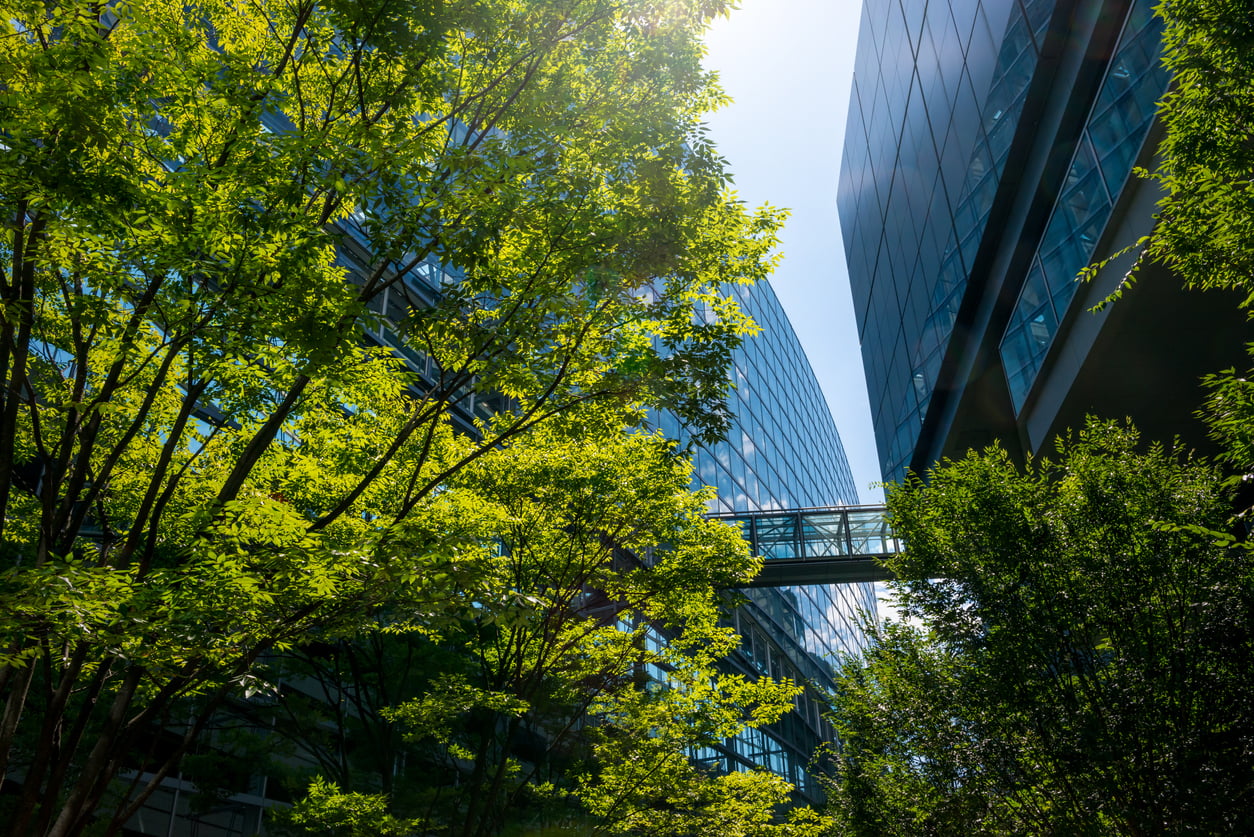 A commercial building surrounded by trees meets building performance standards for energy efficiency and sustainability.